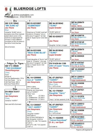 Pedigree of 'The Doorman'