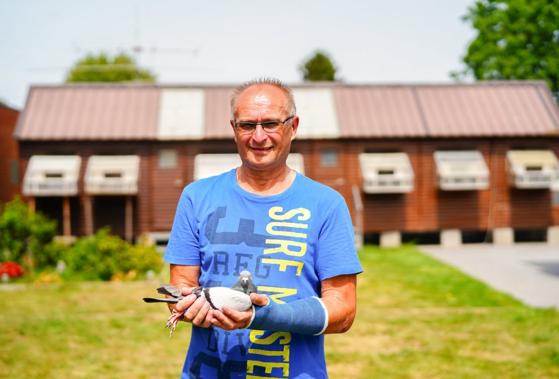1. Nat. Argenton 12,936 yearlings, fastest 23,570 pigeons