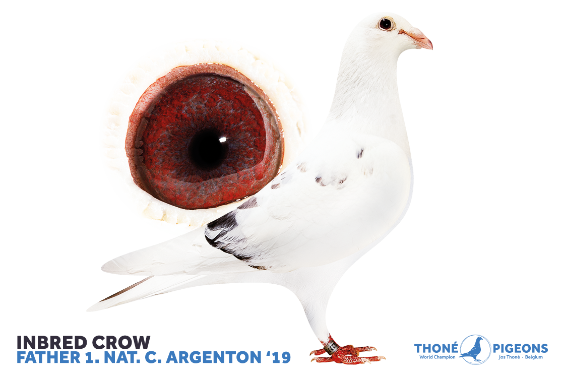 1. and 2. National zone c. Argenton 576km