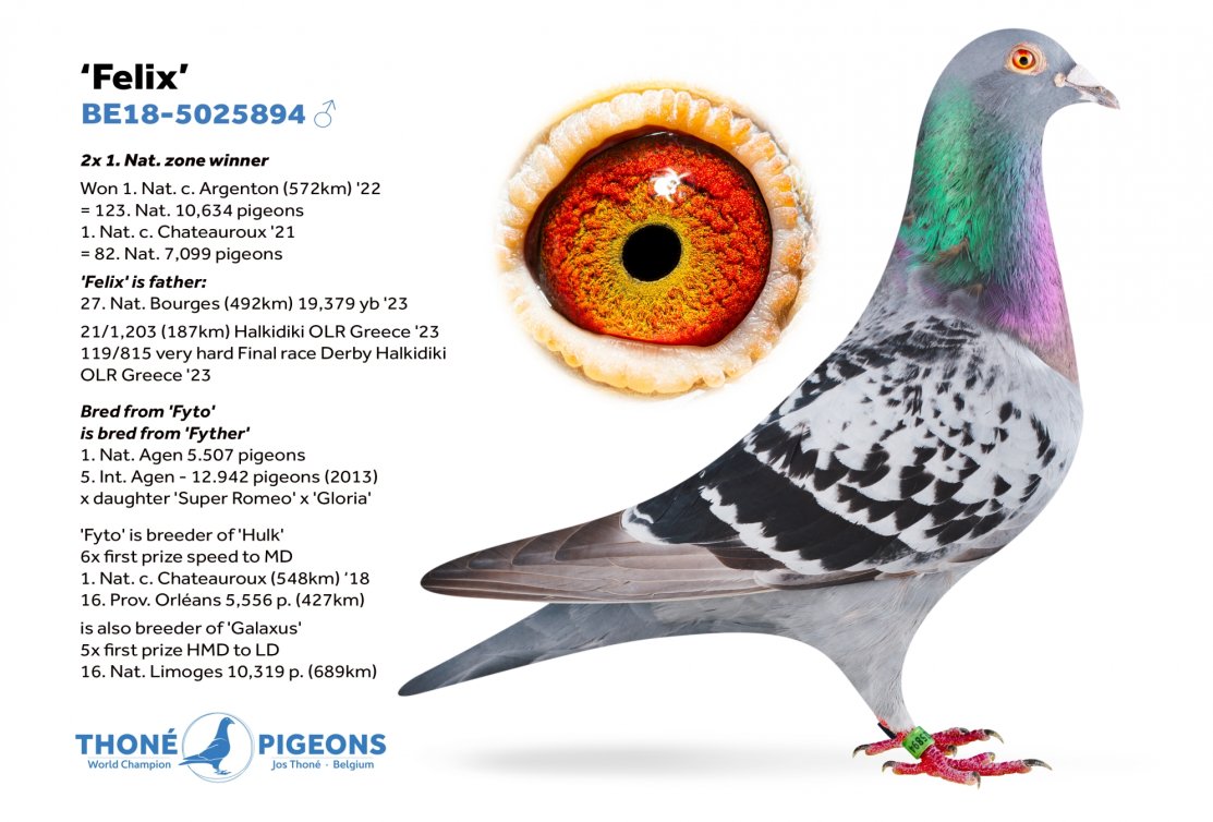 1. Acebird MSK young birds 2023 with daughter 'Felix'
