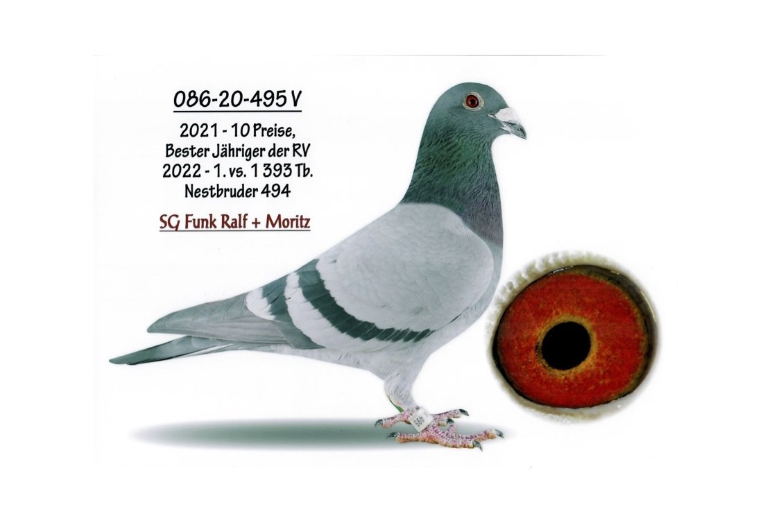New references from Germany