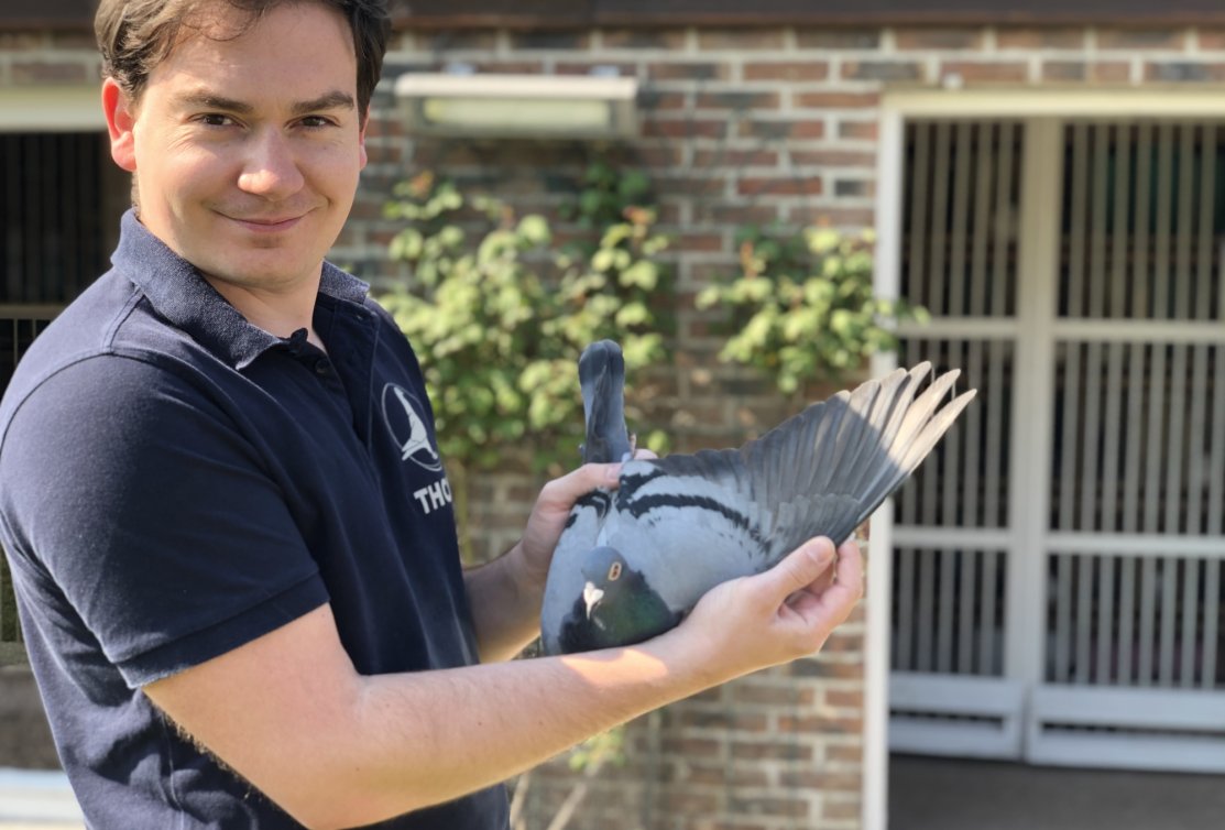 Daily Care of our Pigeons: Videos, Tips & Tricks