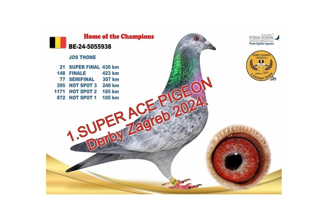 Our best OLR results 2024/2025