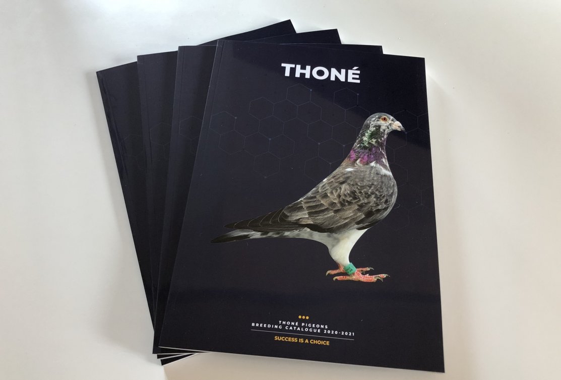 Our new breeding catalogue "Success is a Choice" is now available! 