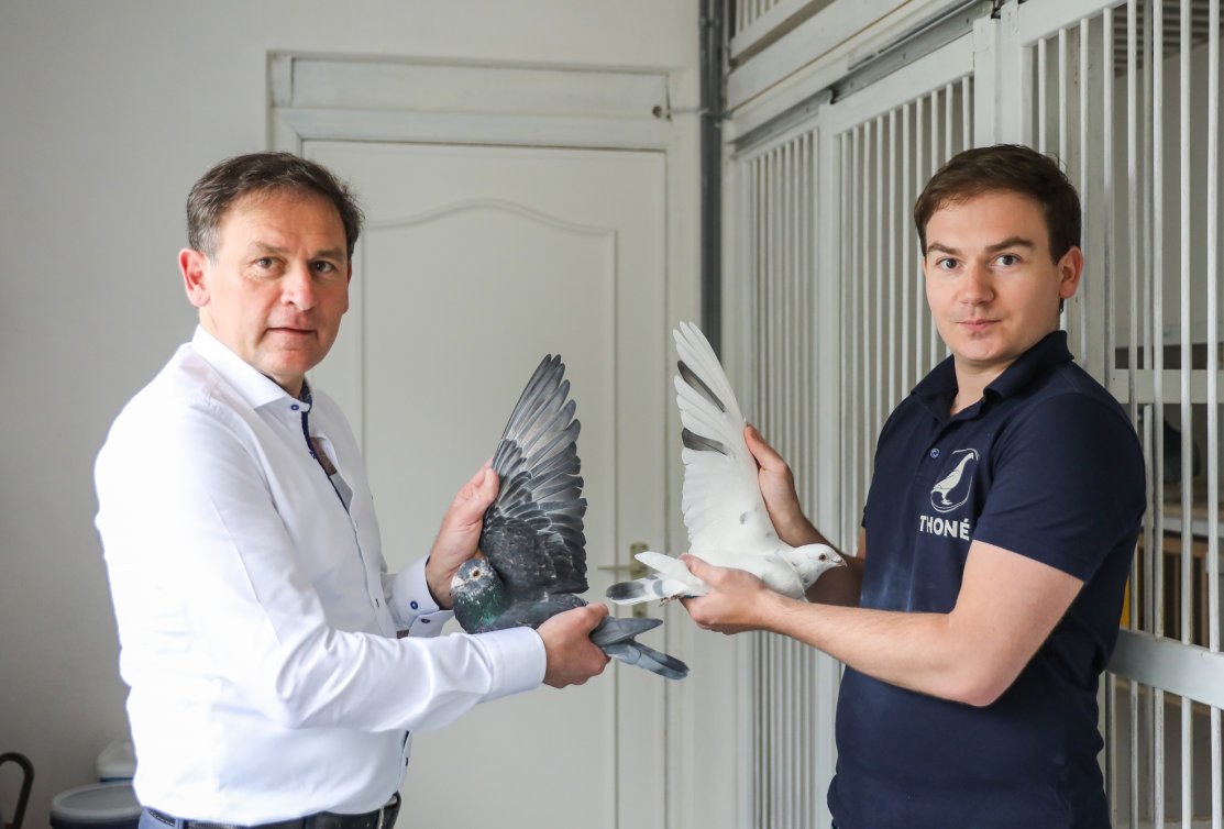 6 superior young birds in unique online auction