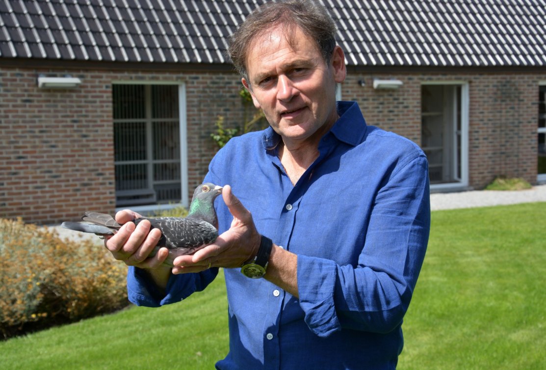 Jos Thoné: supplier of super pigeons at various One Loft Races