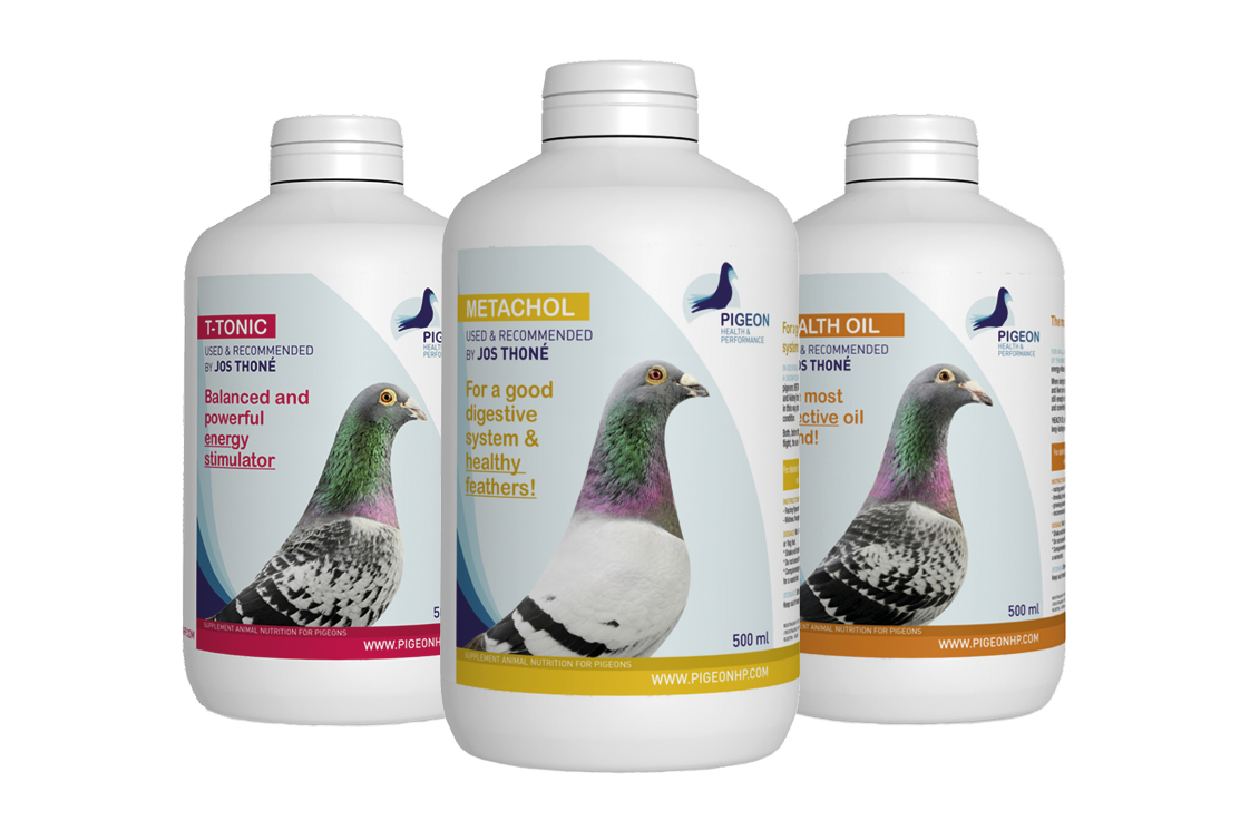 100% ready for the moulting season? This is how we do it