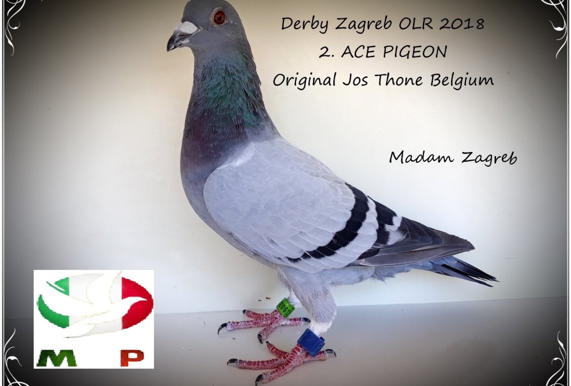 Quality breeds quality: new great OLR references