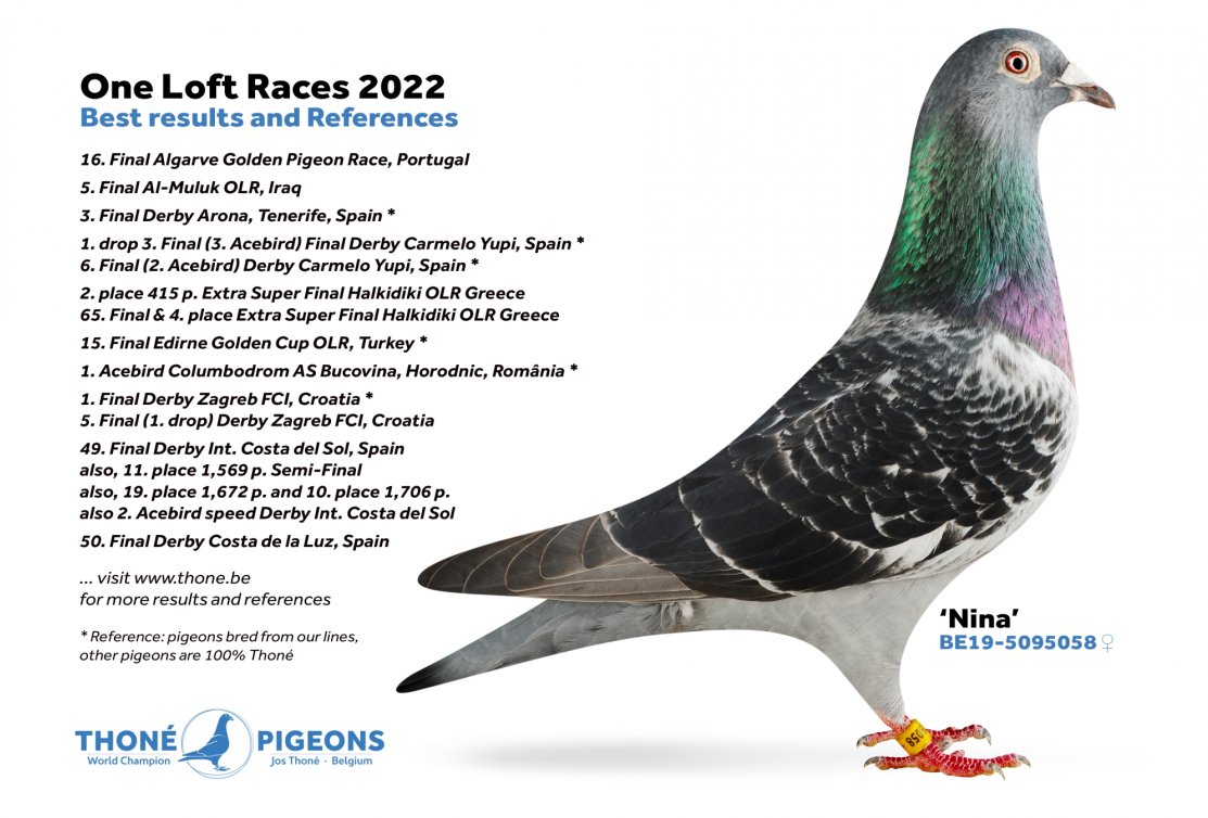 Summary of 2022 OLR results and references