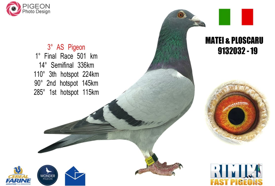 Quality breeds quality: two great OLR references