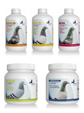 Pigeon Health & Performance