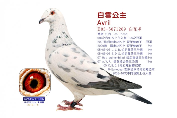 'Avril'