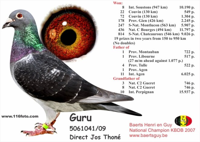 Archives: Guru (BE09-5061041)
