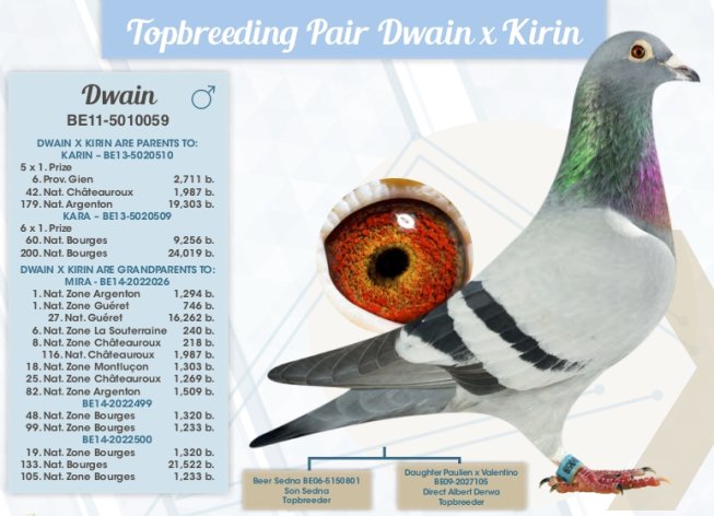 Source: PIPA Catalogue 2016